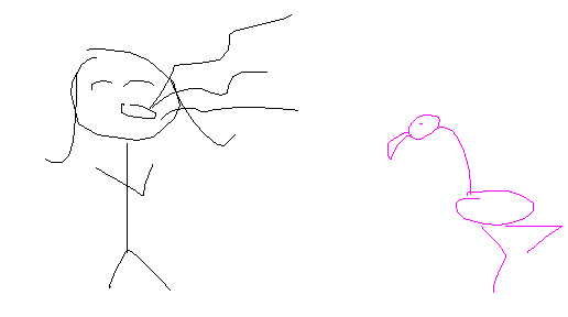 Flamingo